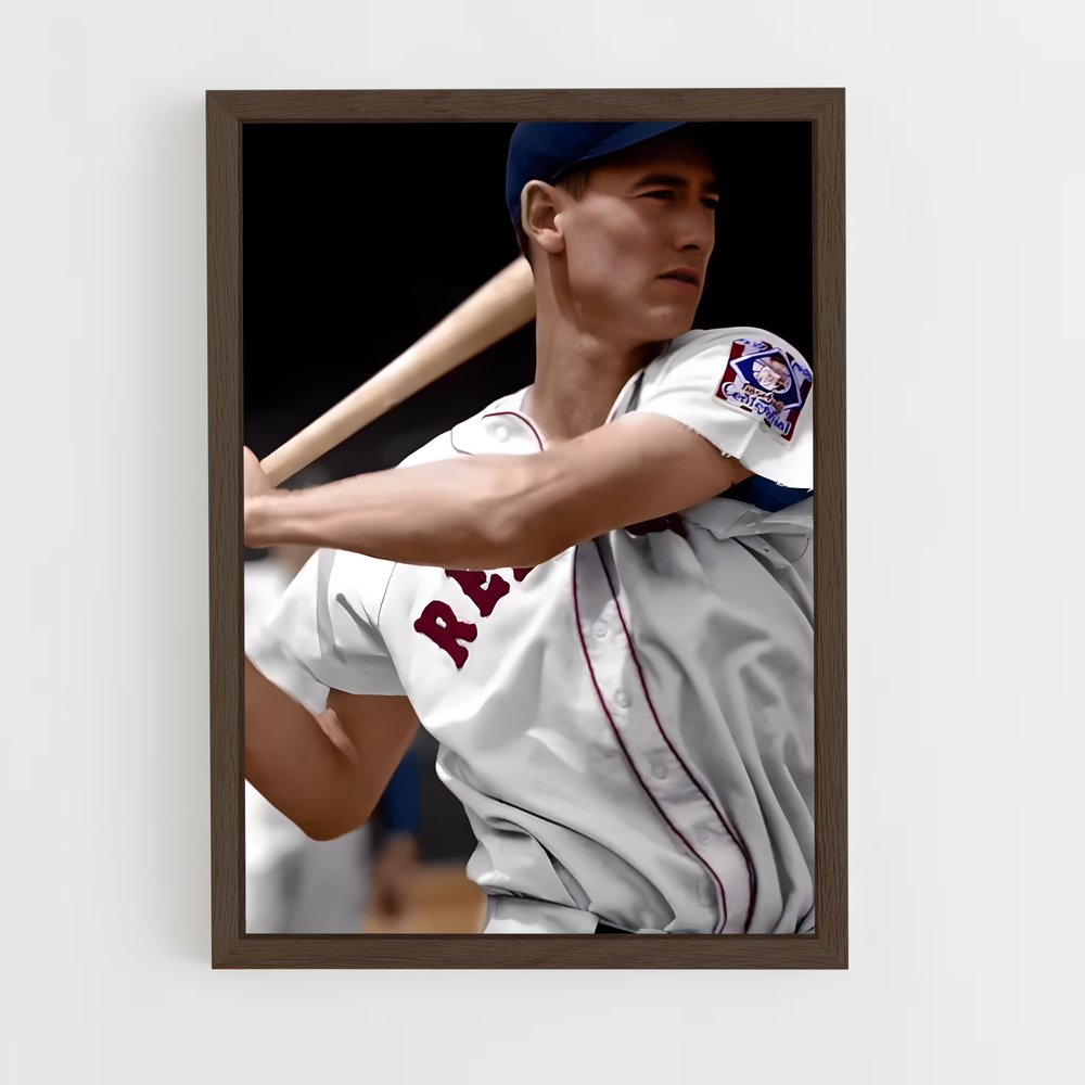Poster Ted williams – affiche Baseball (vue 5)